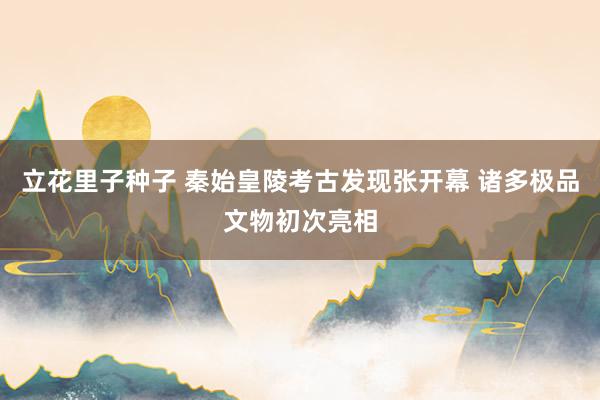 立花里子种子 秦始皇陵考古发现张开幕 诸多极品文物初次亮相