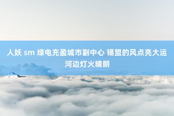 人妖 sm 绿电充盈城市副中心 锡盟的风点亮大运河边灯火晴朗