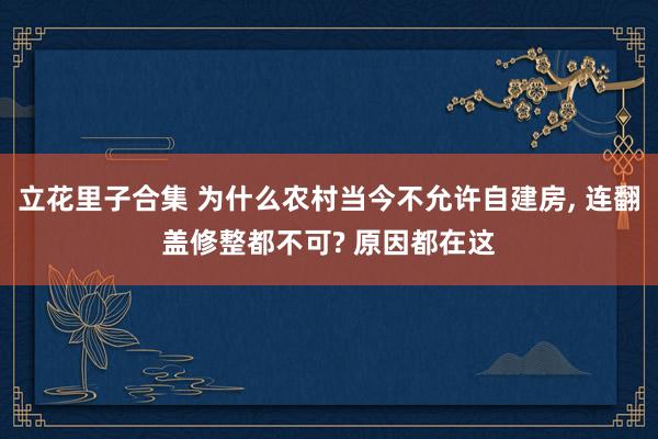 立花里子合集 为什么农村当今不允许自建房， 连翻盖修整都不可? 原因都在这