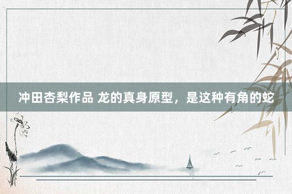 冲田杏梨作品 龙的真身原型，是这种有角的蛇