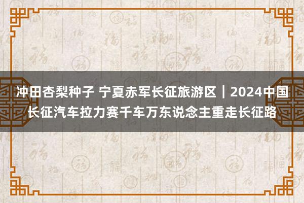 冲田杏梨种子 宁夏赤军长征旅游区｜2024中国长征汽车拉力赛千车万东说念主重走长征路