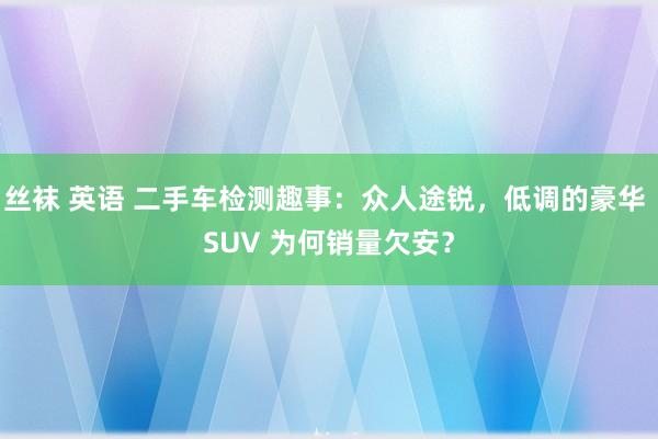 丝袜 英语 二手车检测趣事：众人途锐，低调的豪华 SUV 为何销量欠安？