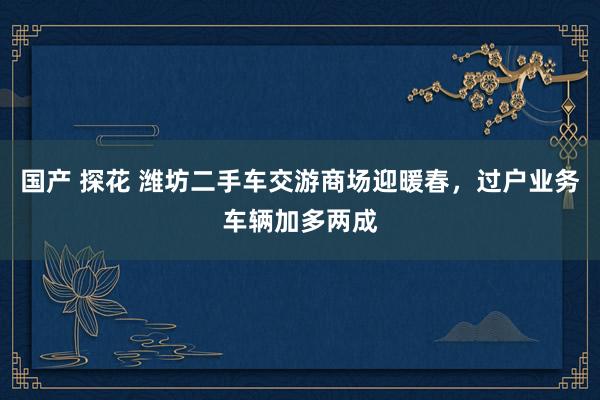 国产 探花 潍坊二手车交游商场迎暖春，过户业务车辆加多两成