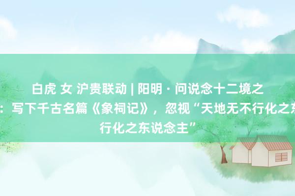 白虎 女 沪贵联动 | 阳明 · 问说念十二境之水西论象：写下千古名篇《象祠记》，忽视“天地无不行化之东说念主”