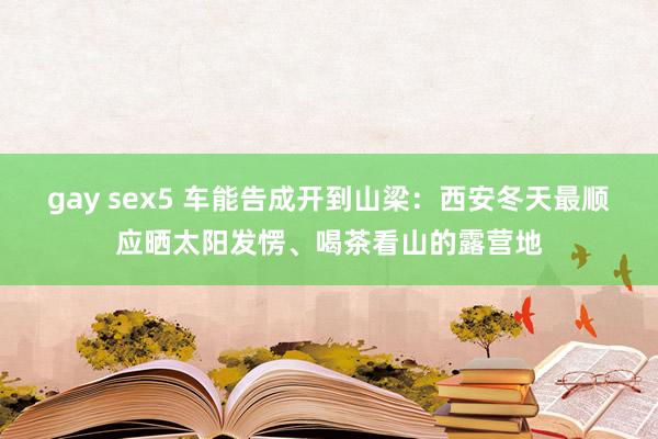 gay sex5 车能告成开到山梁：西安冬天最顺应晒太阳发愣、喝茶看山的露营地