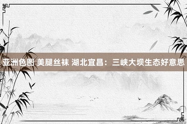 亚洲色图 美腿丝袜 湖北宜昌：三峡大坝生态好意思