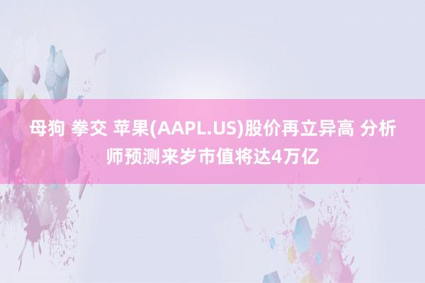 母狗 拳交 苹果(AAPL.US)股价再立异高 分析师预测来岁市值将达4万亿