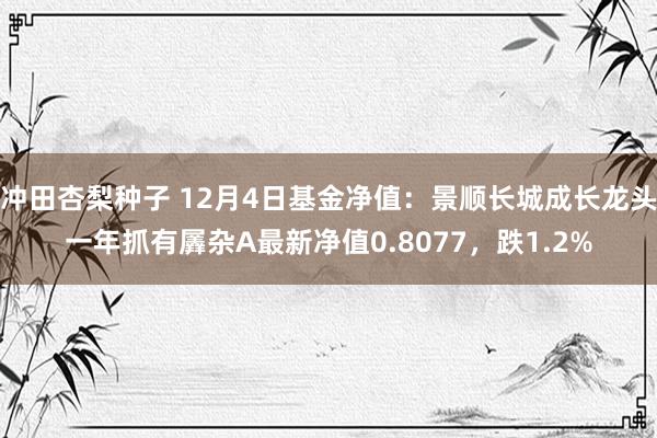 冲田杏梨种子 12月4日基金净值：景顺长城成长龙头一年抓有羼杂A最新净值0.8077，跌1.2%
