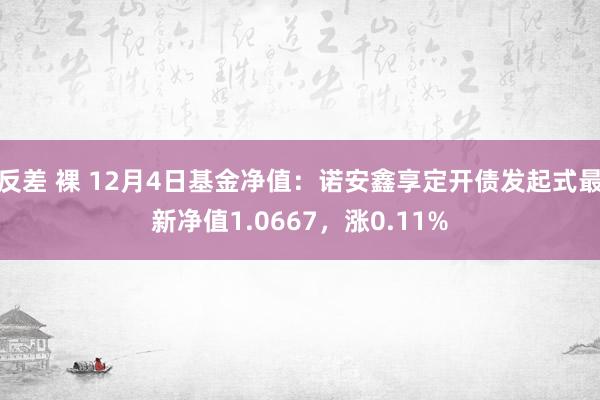 反差 裸 12月4日基金净值：诺安鑫享定开债发起式最新净值1.0667，涨0.11%