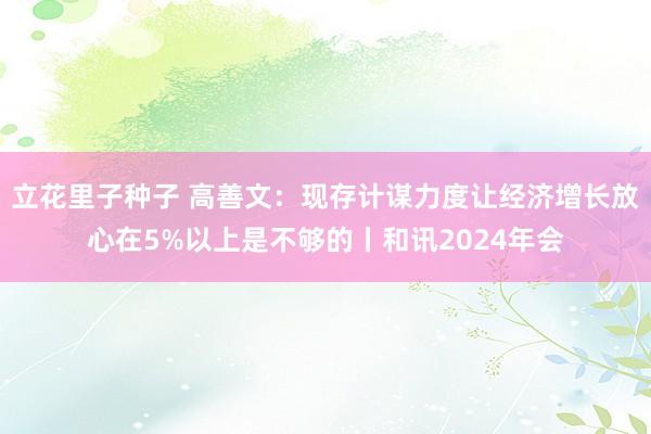 立花里子种子 高善文：现存计谋力度让经济增长放心在5%以上是不够的丨和讯2024年会