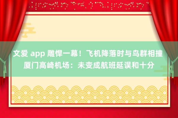 文爱 app 雕悍一幕！飞机降落时与鸟群相撞 厦门高崎机场：未变成航班延误和十分