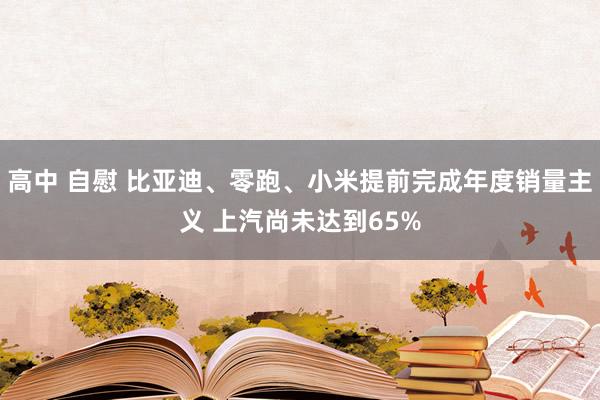 高中 自慰 比亚迪、零跑、小米提前完成年度销量主义 上汽尚未达到65%