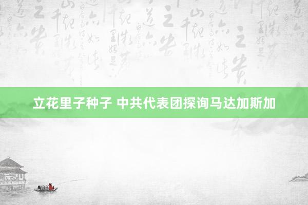 立花里子种子 中共代表团探询马达加斯加