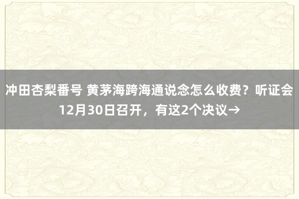 冲田杏梨番号 黄茅海跨海通说念怎么收费？听证会12月30日召开，有这2个决议→