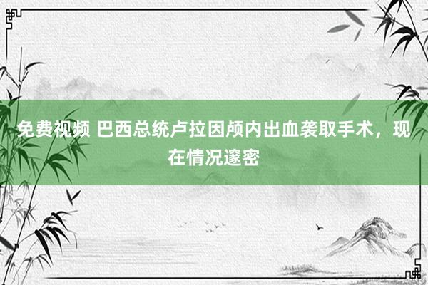 免费视频 巴西总统卢拉因颅内出血袭取手术，现在情况邃密