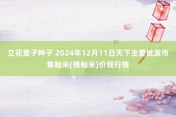 立花里子种子 2024年12月11日天下主要批发市集籼米(晚籼米)价钱行情