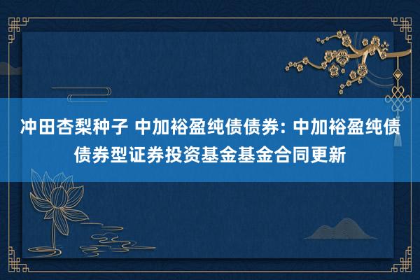 冲田杏梨种子 中加裕盈纯债债券: 中加裕盈纯债债券型证券投资基金基金合同更新