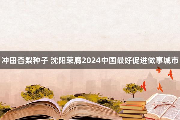 冲田杏梨种子 沈阳荣膺2024中国最好促进做事城市