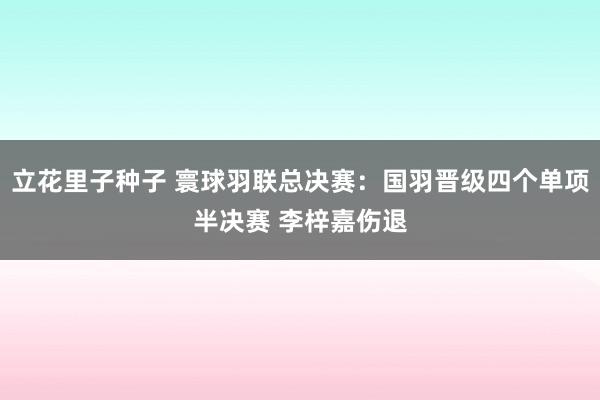 立花里子种子 寰球羽联总决赛：国羽晋级四个单项半决赛 李梓嘉伤退