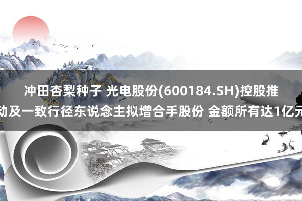 冲田杏梨种子 光电股份(600184.SH)控股推动及一致行径东说念主拟增合手股份 金额所有达1亿元