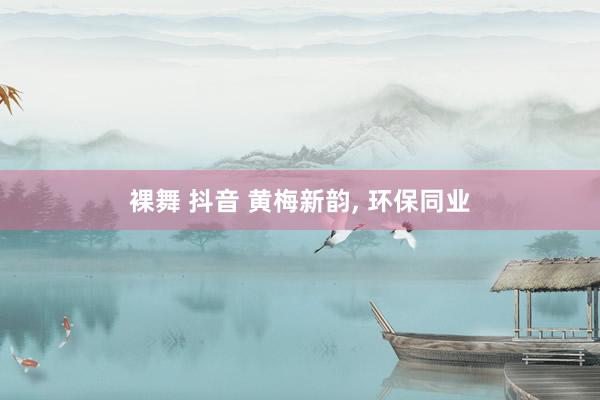 裸舞 抖音 黄梅新韵， 环保同业