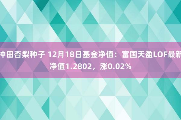 冲田杏梨种子 12月18日基金净值：富国天盈LOF最新净值1.2802，涨0.02%