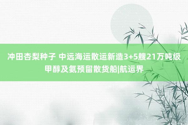 冲田杏梨种子 中远海运散运新造3+5艘21万吨级甲醇及氨预留散货船|航运界