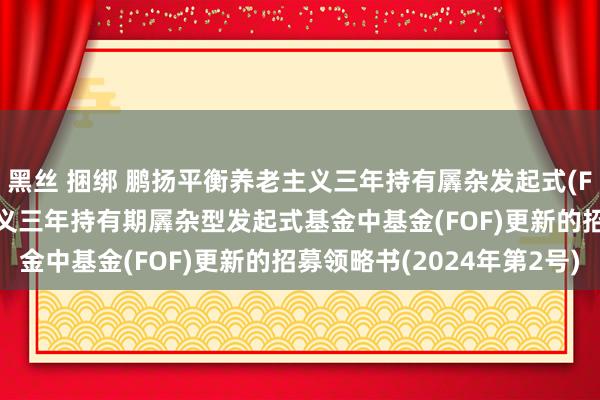 黑丝 捆绑 鹏扬平衡养老主义三年持有羼杂发起式(FOF): 鹏扬平衡养老主义三年持有期羼杂型发起式基金中基金(FOF)更新的招募领略书(2024年第2号)
