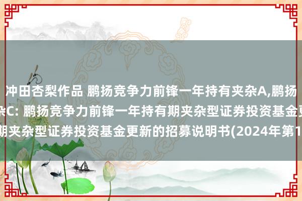 冲田杏梨作品 鹏扬竞争力前锋一年持有夹杂A,鹏扬竞争力前锋一年持有夹杂C: 鹏扬竞争力前锋一年持有期夹杂型证券投资基金更新的招募说明书(2024年第1号)
