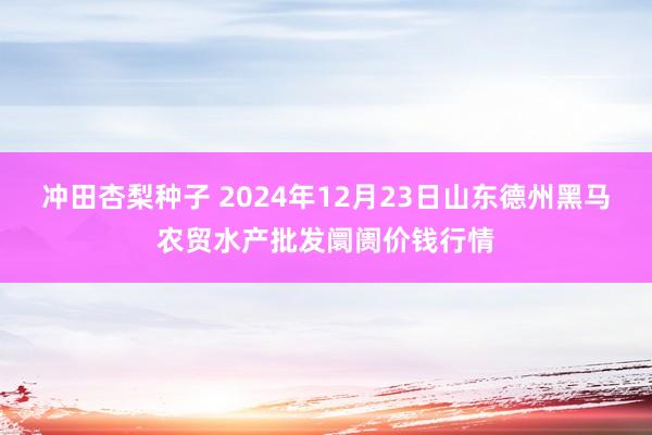 冲田杏梨种子 2024年12月23日山东德州黑马农贸水产批发阛阓价钱行情