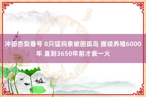 冲田杏梨番号 8只猛犸象被困孤岛 握续养殖6000年 直到3650年前才衰一火