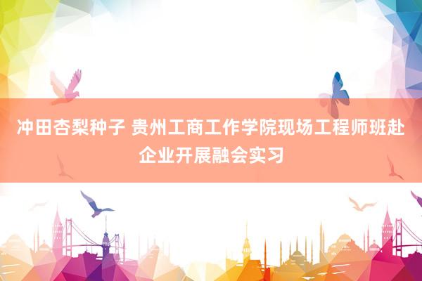 冲田杏梨种子 贵州工商工作学院现场工程师班赴企业开展融会实习