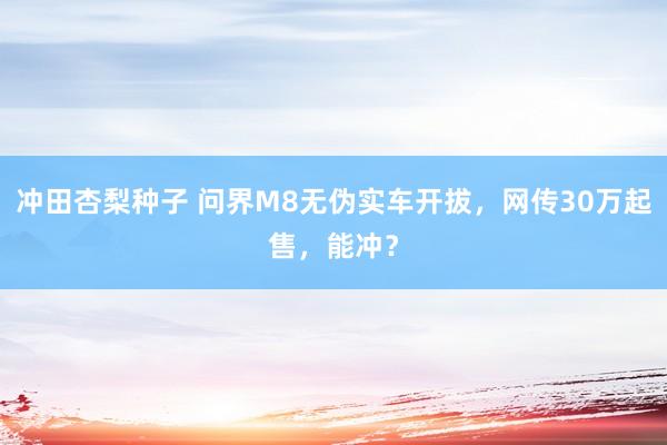 冲田杏梨种子 问界M8无伪实车开拔，网传30万起售，能冲？