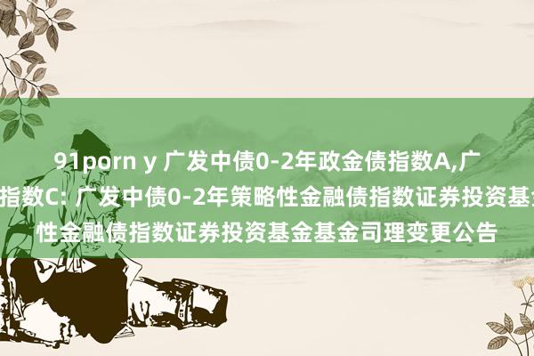 91porn y 广发中债0-2年政金债指数A,广发中债0-2年政金债指数C: 广发中债0-2年策略性金融债指数证券投资基金基金司理变更公告