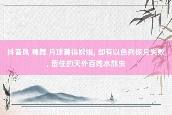 抖音风 裸舞 月球莫得嫦娥， 却有以色列探月失败， 留住的天外百姓水熊虫
