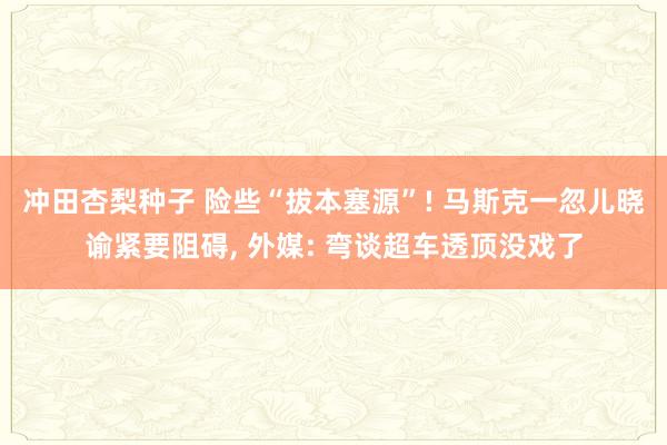 冲田杏梨种子 险些“拔本塞源”! 马斯克一忽儿晓谕紧要阻碍， 外媒: 弯谈超车透顶没戏了