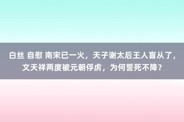 白丝 自慰 南宋已一火，天子谢太后王人盲从了，文天祥两度被元朝俘虏，为何誓死不降？