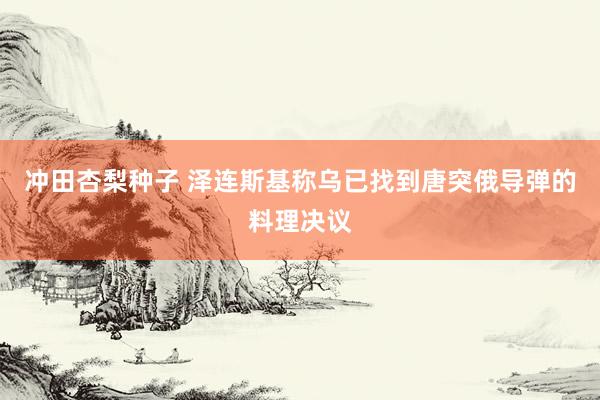 冲田杏梨种子 泽连斯基称乌已找到唐突俄导弹的料理决议