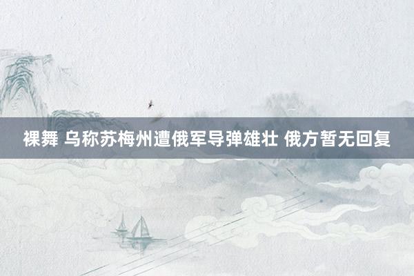 裸舞 乌称苏梅州遭俄军导弹雄壮 俄方暂无回复
