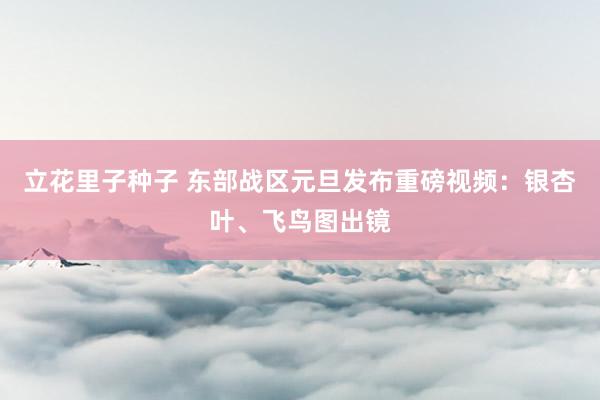 立花里子种子 东部战区元旦发布重磅视频：银杏叶、飞鸟图出镜