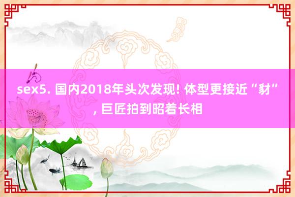 sex5. 国内2018年头次发现! 体型更接近“豺”， 巨匠拍到昭着长相