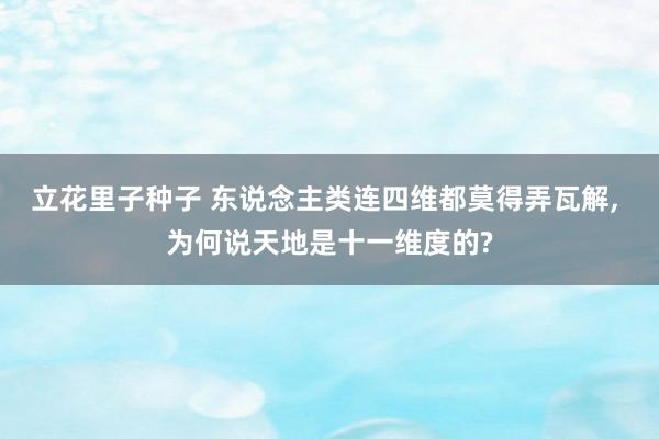 立花里子种子 东说念主类连四维都莫得弄瓦解， 为何说天地是十一维度的?