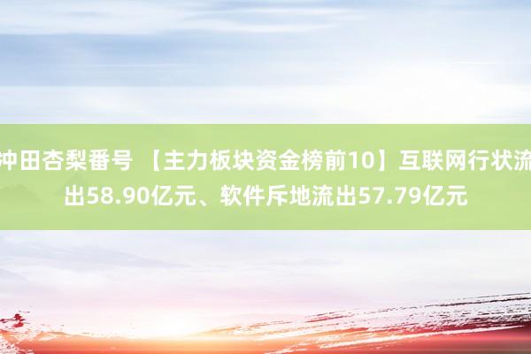 冲田杏梨番号 【主力板块资金榜前10】互联网行状流出58.90亿元、软件斥地流出57.79亿元