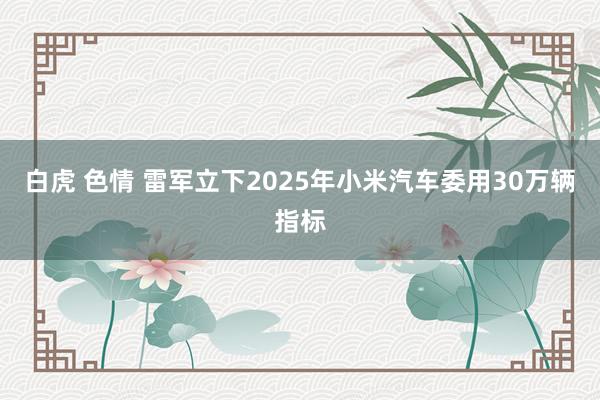 白虎 色情 雷军立下2025年小米汽车委用30万辆指标