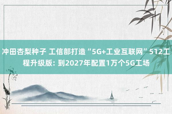 冲田杏梨种子 工信部打造“5G+工业互联网”512工程升级版: 到2027年配置1万个5G工场
