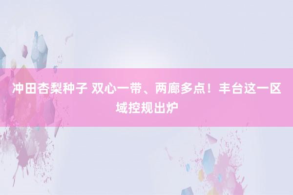 冲田杏梨种子 双心一带、两廊多点！丰台这一区域控规出炉