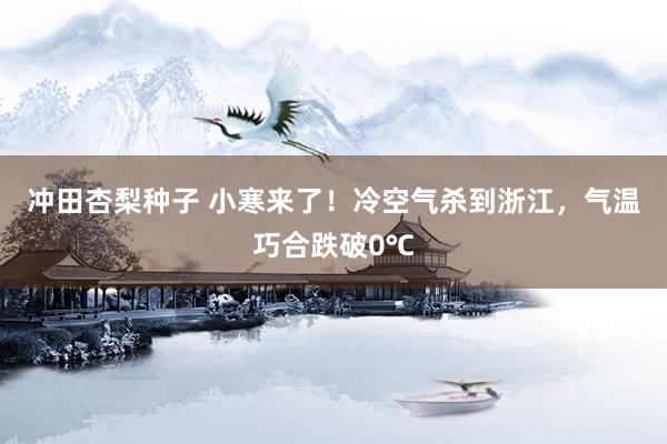 冲田杏梨种子 小寒来了！冷空气杀到浙江，气温巧合跌破0℃