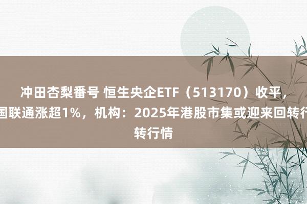 冲田杏梨番号 恒生央企ETF（513170）收平，中国联通涨超1%，机构：2025年港股市集或迎来回转行情