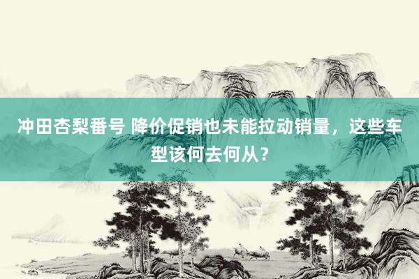 冲田杏梨番号 降价促销也未能拉动销量，这些车型该何去何从？