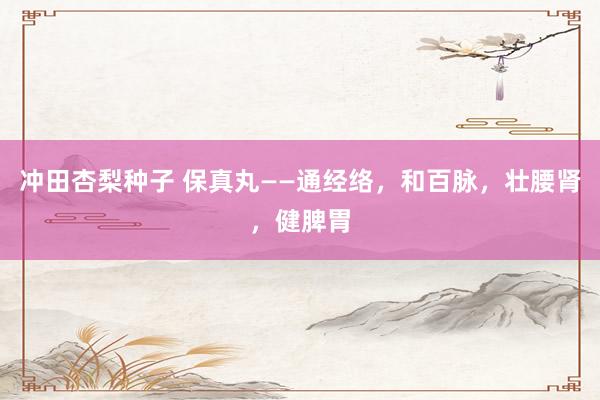 冲田杏梨种子 保真丸——通经络，和百脉，壮腰肾，健脾胃
